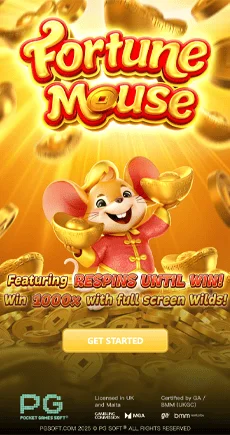 jogo do rato